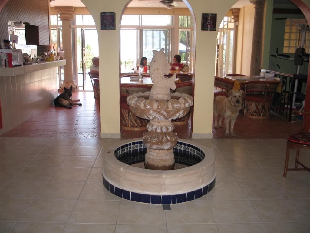 La Puerta Violeta Guesthouse & Spa San Juan Cosalá Extérieur photo
